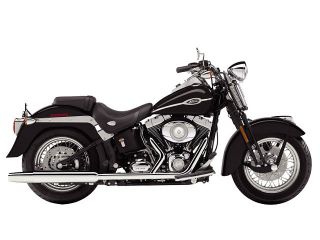 FLSTSC Springer Classic
