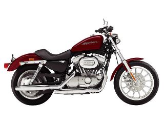 Sportster XL883