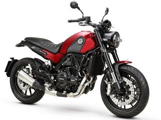 LEONCINO500